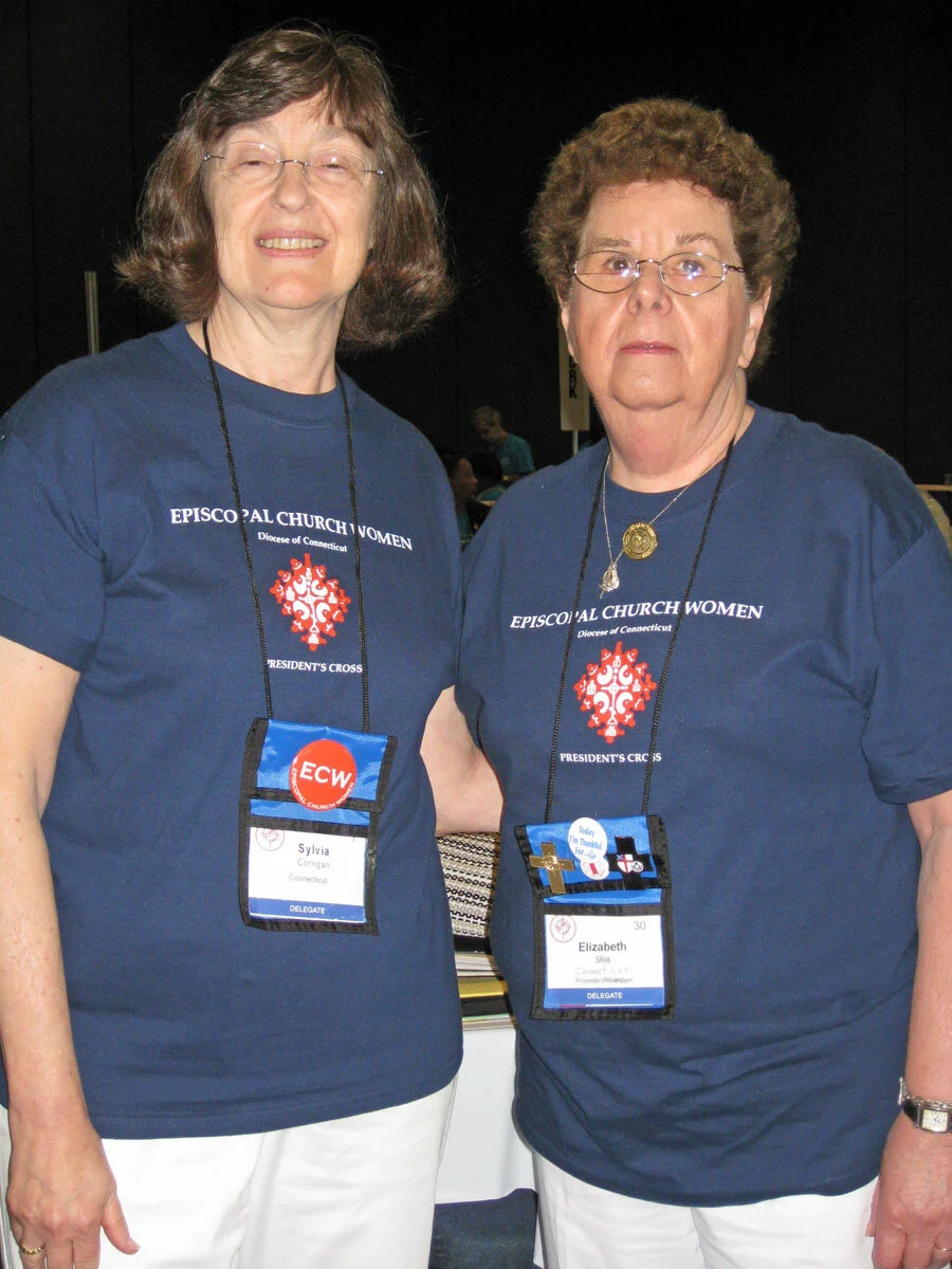 ECW Shirts of the ECW Triennial