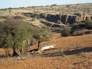 8. A Desert Place