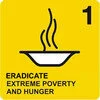 Embracing the Millennium Development Goals